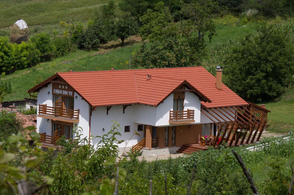 Guest house Pensiunea Casa Din Vii 3*