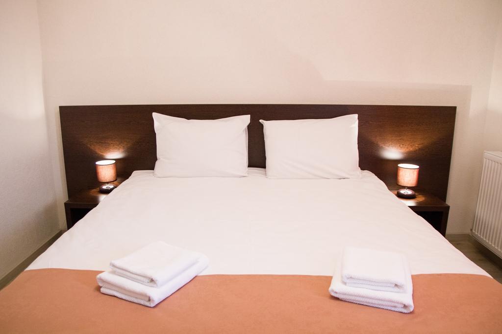 Guest house Pensiunea Casa Din Vii 3*